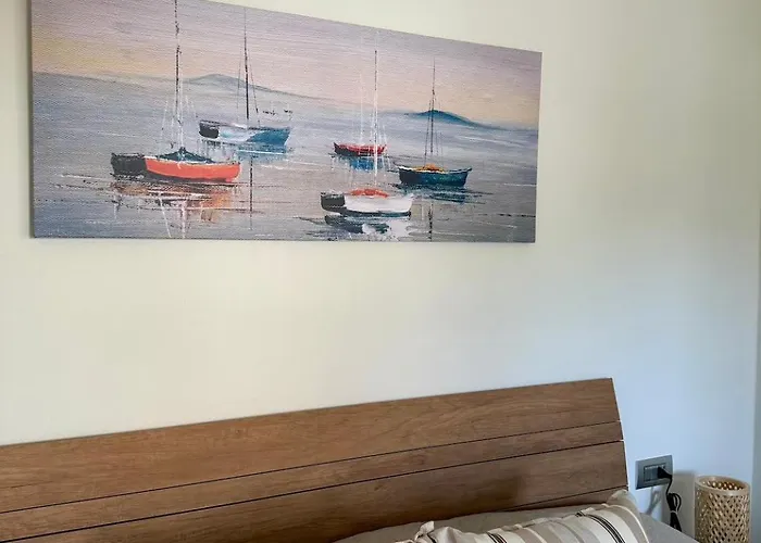 Virginia E Natale 贝拉焦