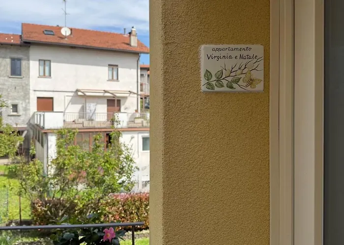 Virginia E Natale * 贝拉焦