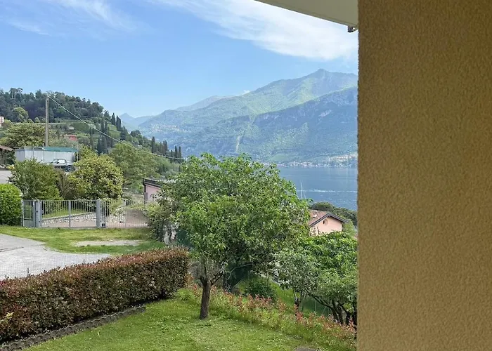 Virginia E Natale 贝拉焦